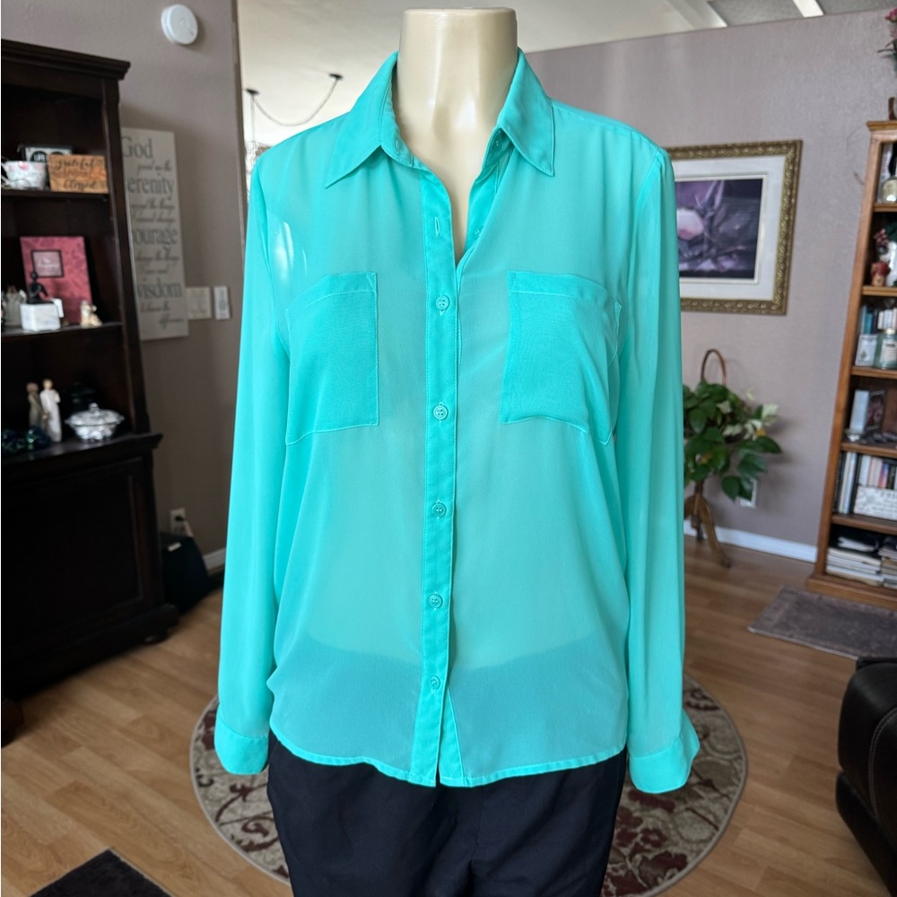 Xai sheer green long sleeve blouse-size M